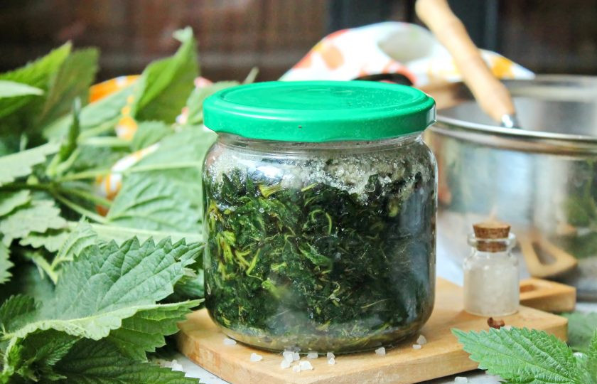 1. Этап. Крапива на зиму для супа: Хороших заготовок!