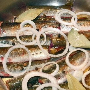 1. Этап. Минога в оливковом масле: Укладываем кусочки миноги в кастрюлю плотно друг к другу, сплошным слоем. Сверху посыпаем рыбу солью (по вкусу), кладем несколько лавровых листов и нарезанную кольцами луковицу.