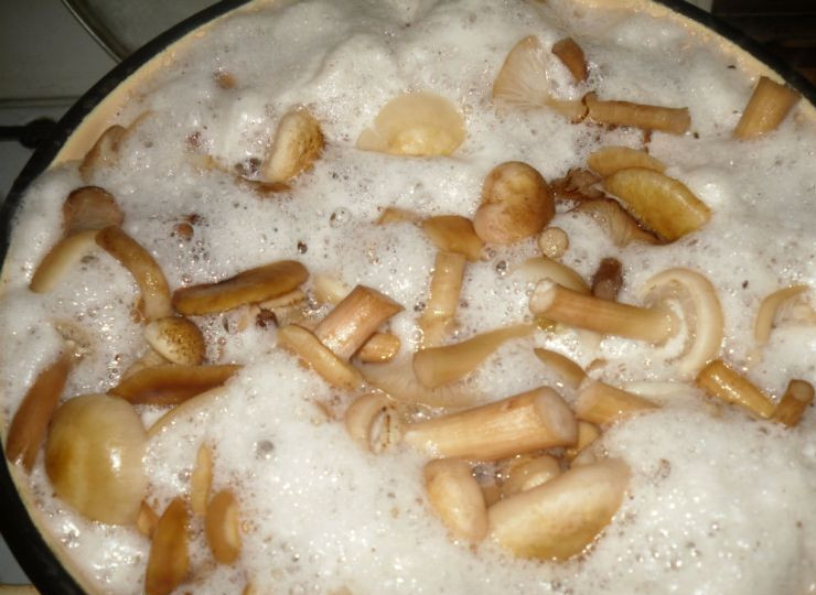 1. Этап. Маринованные опята с чесноком: Теперь выкладываем грибы в глубокую кастрюлю, снова заливаем водой и ставим на огонь, варим опята 1,5 часа с момента закипания, снимаем образующуюся пену.