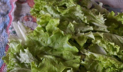 1. Этап. Закуска Рафаэлло: Листья салата помыть и обсушить полотенцем.