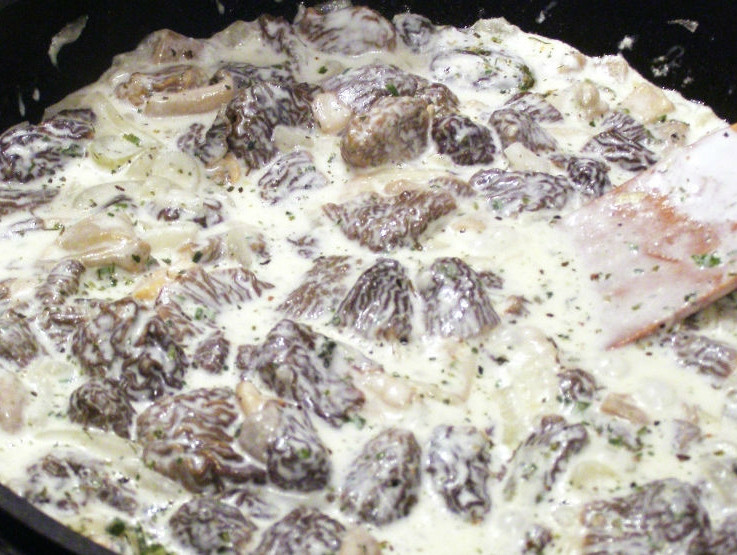 1. Этап. Соус из сморчков: Вспоминаем про грибной бульон. Доливаем его в сковороду, тщательно помешивая лопаткой. Порцию жидкости рассчитывайте сами. Хотите погуще - тогда не перебарщивайте с жидкостью. Затем перекладываем грибы в сковородку. Кладем кусок сливочного масла, обжариваем в течение 5-7 минут. Докладываем сметану, нарезанный чеснок, солим, перчим. Я еще положу тертый мускатный орех, он придаст особый аромат. Тушим 15 минут на слабом огне. По мере надобности можно подливать грибной бульон.