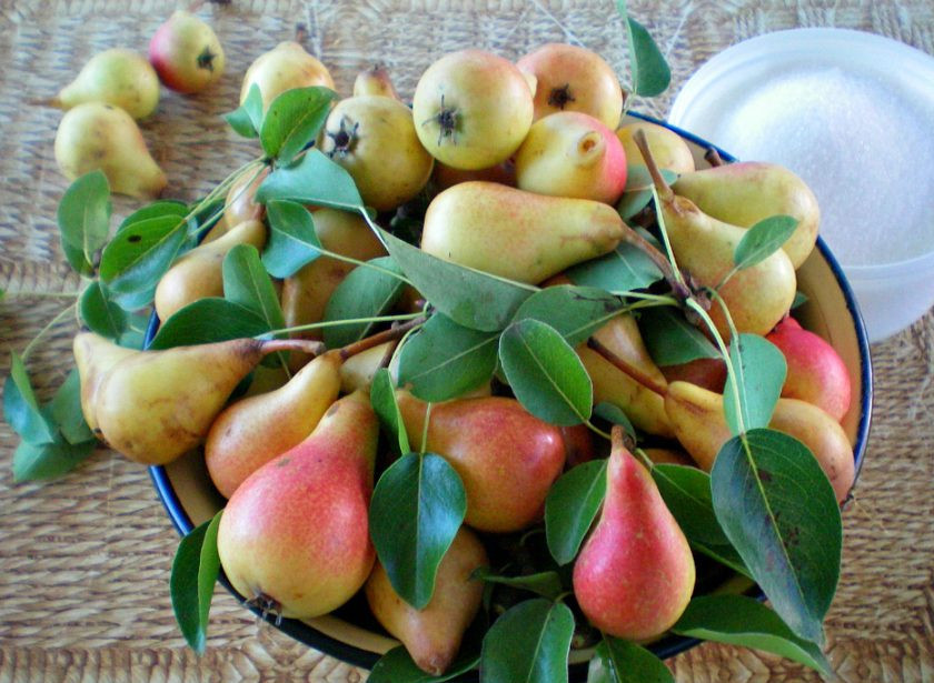 1. Этап. Густое грушевое варенье: Подготовим спелую грушу и сахар.