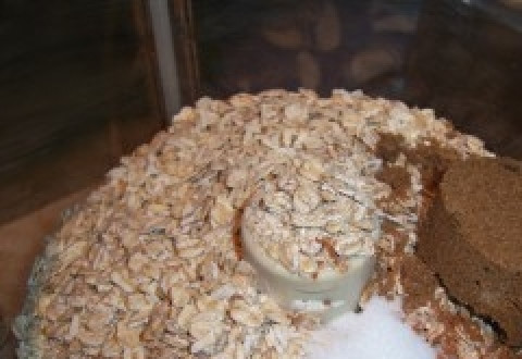 1. Этап. Оладушки овсяные: 1. Итак, смешаем в блендере или миксере до однородности сначала все сухие ингредиенты (хлопья должны измельчится), а потом добавим молоко, яйца и варенье.