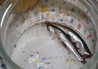 1. Этап. Засолка хамсы: 4. Часов через 5 первый этап завершен. Подготовьте чистую емкость, на дно которой насыпьте немного соли.