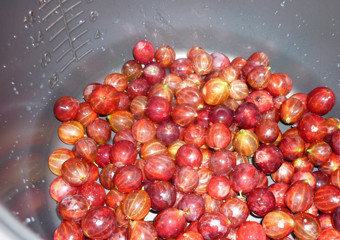 1. Этап. Желе из крыжовника в мультиварке: Ягоды промываем, очищаем от плодоножек, листиков, мусора и складываем в чашу мультиварки. Засыпаем сахаром и включаем режим 