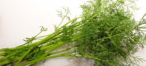 1. Этап. Сырные рулетики с семгой: 3. Промойте зелень в большом количестве проточной воды. Хорошо просушите. Нарежьте как можно мельче зелень, используя только листики.