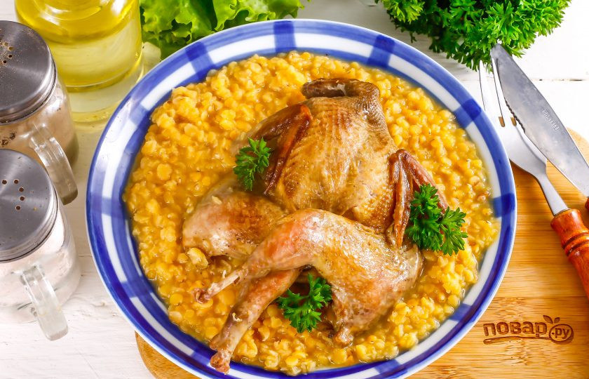 1. Этап. Перепелка с чечевицей: Выложите на тарелку чечевицу, добавьте отварную птицу и украсьте свежей зеленью. Подайте блюдо к столу теплым.