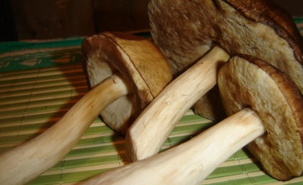 1. Этап. Подосиновики, жареные с луком: 1. Поверьте, готовить подосиновики, жареные с луком в домашних условиях, одно удовольствие. Эти грибы очень вкусные и ароматные, а в сочетании с луком и приправами они просто непревзойденные.