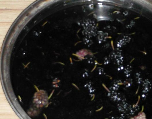 1. Этап. Вино из шелковицы: 1. Ягоды промоем и оставим на сутки в сухом месте, чтобы обсохли. Затем отжимаем сок. Сок разбавляем таким же количеством воды.