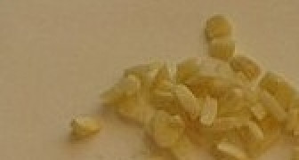 1. Этап. Картофель в рукаве в духовке: Крупно нарубить чеснок.