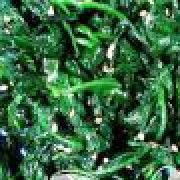 1. Этап. Ошиташи - Отварной шпинат: Выложить шпинат в миску, добавить сою, семена кунжута и кунжутное масло. Хорошо перемешать. Этот гарнир идеально подойдет к большинству блюд японской кухни. Приятного аппетита!