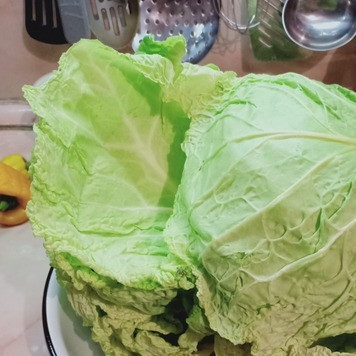 1. Этап. Нежные голубцы из савойской капусты: Капусту помыть и разобрать на листья.
