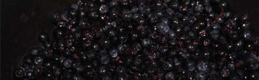 1. Этап. Варенье из черники в мультиварке: 2. Чистые ягоды складываем в чашу мультиварки.