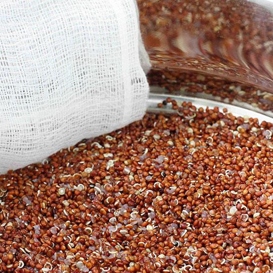 1. Этап. Салат из лебеды: Пересыпьте лебеду в подготовленное сито с марлей. На дно пароварки (кастрюли) влейте небольшое количество воды и доведите до кипения. Поставьте сито над кипящей водой и накройте крышкой. Убедитесь что лебеда не касается воды. Готовьте в течении 10 минут. Затем помешайте вилкой и дайте остыть.