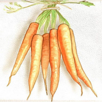 Red Curry Roasted Carrots with Ginger and Garlic
