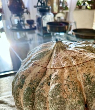 1. Этап. Тыква Жаба с рисом и сухофруктами: Это жаба. В смысле тыква такая. Ну, фамилия у нее – жаба. Но тыквы фамилии себе не выбирают. Какую люди дали, такую и носит.