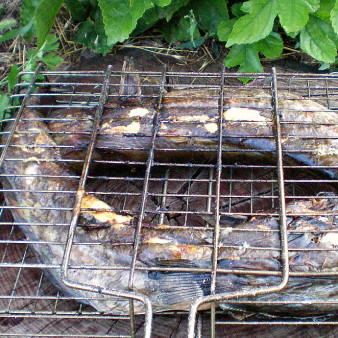 Рыба под белым маринадом