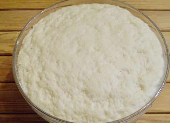 1. Этап. Печенье из дрожжевого теста: 9. Тесто должно увеличиться. Обминаем руками.