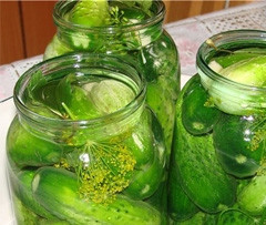 1. Этап. Консервированные огурцы без уксуса: Горячим рассолом заливаем до горлышка, закрываем марлей ставим бродить на 3 суток.