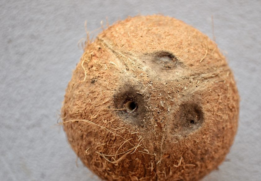 1. Этап. Кокосовые чипсы: Проткните одно из трёх отверстий кокоса, слейте жидкость внутри.