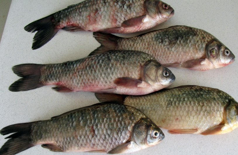 1. Этап. Фаршированный карп: 1. Рыбу моем и чистим, удаляем у неё внутренности и крупные кости. Промоем и обсушим.