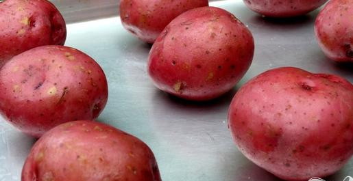 1. Этап. Фаршированный картофель: Разогрейте духовку до 230 C. Проколите каждую картофелину вилкой несколько раз. Выложить на противень и выпекать в течении 30 минут.