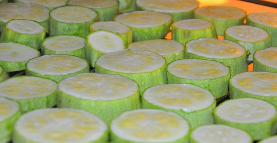 1. Этап. Запеканка из кабачков с помидорами: Для начала промываем кабачки и нарезаем их кружочками шириной в 1,5-2 см. Выкладываем кружочки на решетку, сбрызгиваем их растительным маслом и отправляем в разогретую до 180 градусов духовку.