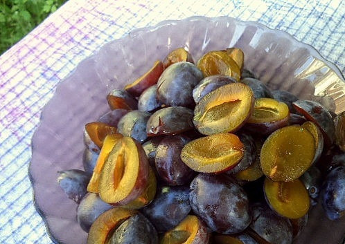 1. Этап. Аджика из томатной пасты: Сливы вымойте, каждый плод разломите на две части. Удалите у слив косточки. Лучше, если вы будете использовать недозревшие плоды и ни в коем случае не перезревшие, мягкие. Измельчите сливы тем же путем, что и болгарский перец.