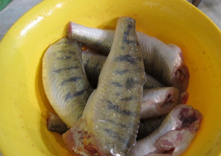 1. Этап. Судак в духовке под сметанным соусом: 3. Посыпаю рыбу внутри и снаружи солью, перекладываю её в миску и отправляю в холодильник на 2-3 часа.