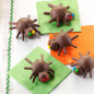 Edible Arachnids