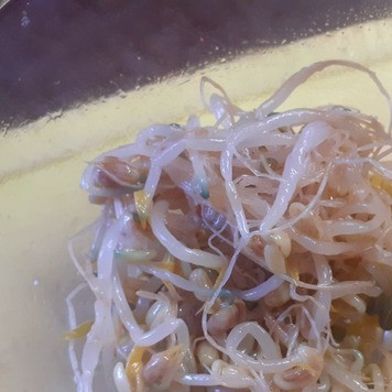 1. Этап. Суп с ростками сои и полентой: Ростки сои промыть и добавить в суп.