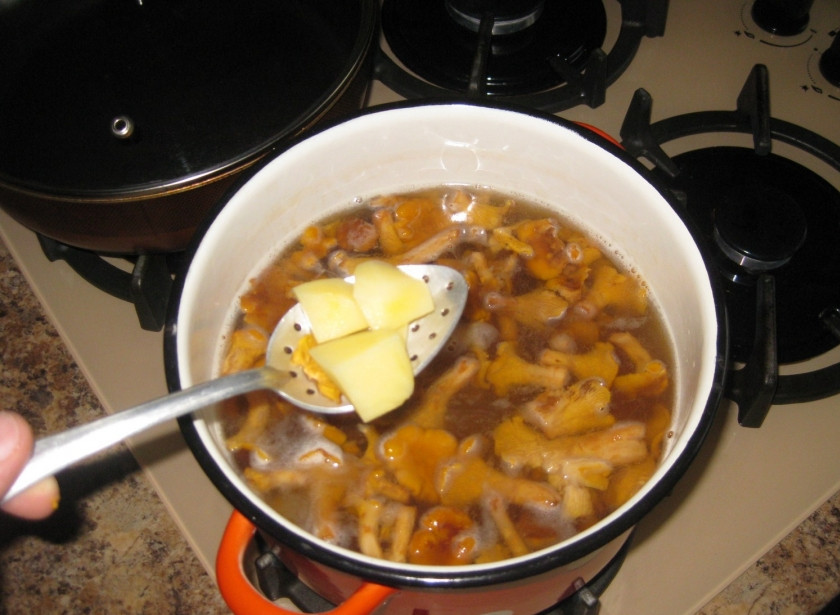 1. Этап. Суп грибной с лисичками: Бульон от лисичек ставим на огонь (я добавлял еще 0.5 воды). После закипания кидаем в него лисички, режем картошку не очень большими кусочками, отправляем туда же.