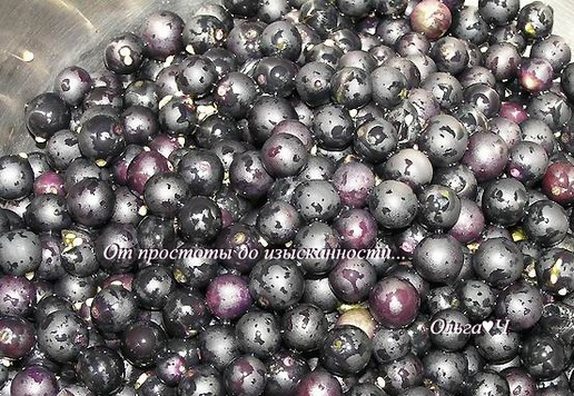 1. Этап. Сорбе из паслена: Паслен переберите, промойте. Измельчите в пюре с помощью блендера.