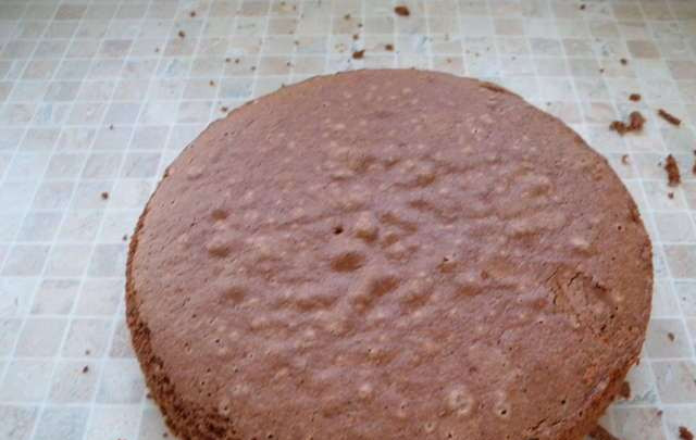 1. Этап. Торт Рыба: Для начала - тесто. Ничего сложного, обычный бисквит: взбиваем яйца с сахаром, добавляем муку, разрахлитель и какао. Замешиваем, выпекаем, даем нашему коржу остыть.