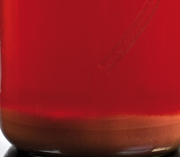 1. Этап. Вино из клубники: 5. По истечении 5-7 недель основное брожение прекратится, сусло осветлится, а на дне появится густой осадок. Вы получили молодое клубничное вино, слейте его с осадка через трубочку.