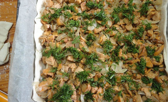 1. Этап. Пирог с грибами из слоеного бездрожжевого теста: 8. Добавить немного свежей зелени и вылить яично-сырную заливку.