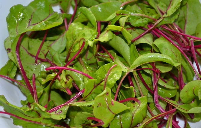 1. Этап. Холодник с ботвой: Измельчаем молодую свекольную ботву, предварительно её хорошо промыв. Так же измельчаем зелень.