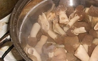 1. Этап. Cуп со сморчками и картофелем: После этого большие грибы разрежьте пополам, а маленькие оставьте целыми. Варите их в течении 25 минут на среднем огне в подсоленной воде. Затем слейте отвар, снова налейте новую воду и доведите её до кипения.