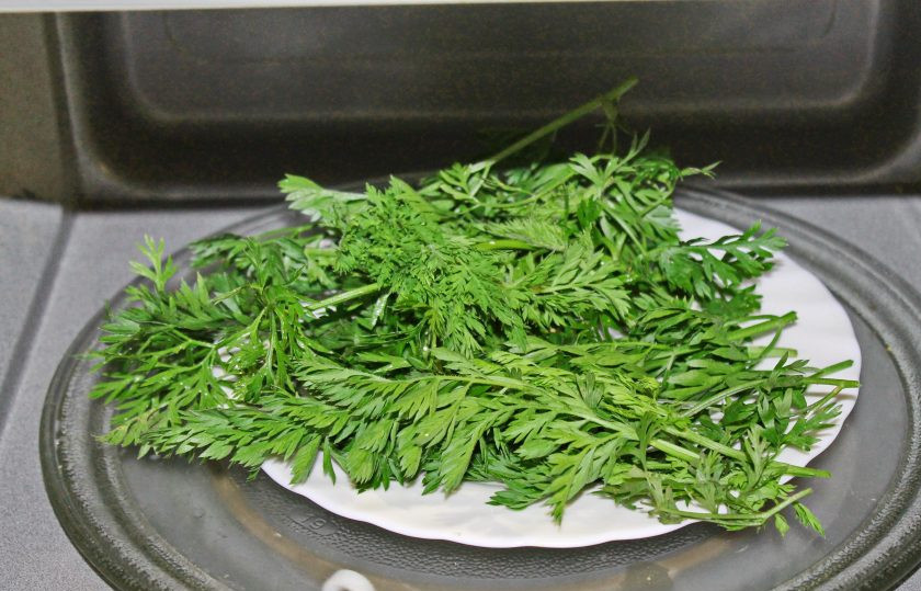 1. Этап. Морковная ботва на зиму: Первый способ один из моих любимых, при нем зелень не теряет свой цвет и аромат. Ботву тонким слоем разложите на тарелку, которая подойдет для микроволновой печи. Поставьте в печку и установите таймер на 1 минуту, при мощности 800 Вт. Затем переворачивайте ботву и продолжайте сушить по 30 секунд, проверяя каждый раз, как она высохла. Не ставьте время сразу много, высохшая ботва может загореться.