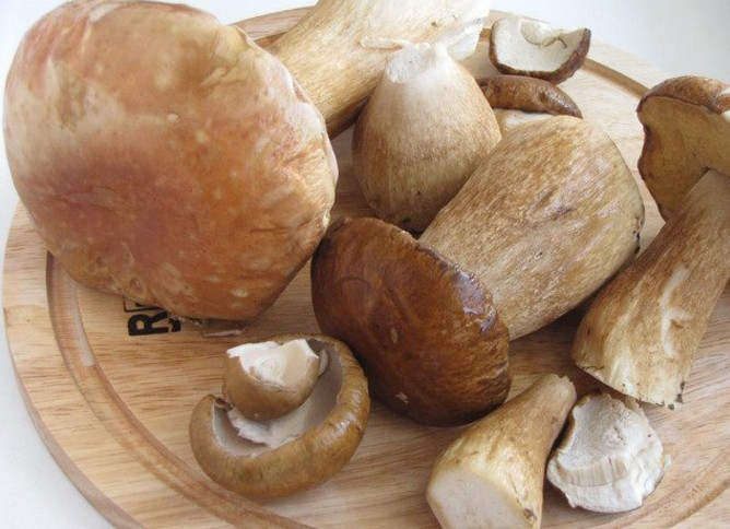 1. Этап. Свинина в горшочке с грибами: 3. Вымойте грибочки, очистите их и обрежьте край плодоножки, затем нарежьте тонкими пластинками.