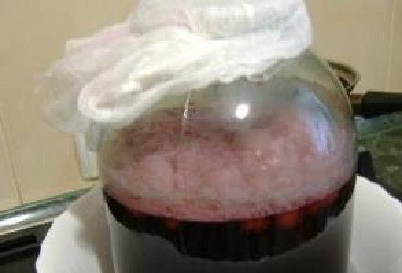 1. Этап. Квас вишневый: В банку налить остывший отвар с соком, добавить изюм, сахар. Закрыть марлей и оставить бродить 2 суток. Затем процедить, добавить еще 6 шт изюма и поставить в холодное место для дображивания.