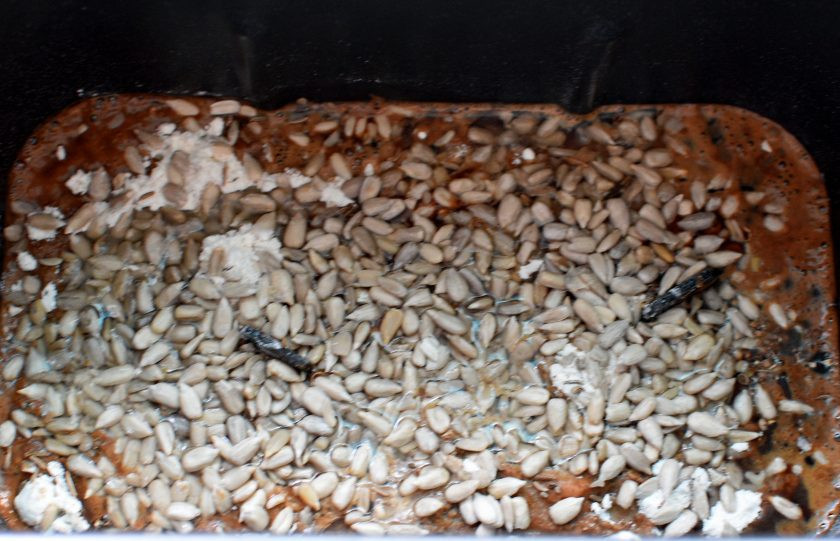 1. Этап. Шварцброт с квасом и отрубями: Выложите продукты в ведерко хлебопечки согласно инструкции к вашей модели. Добавьте масло, пряности и подсолнечные семечки.