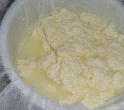 1. Этап. Бутерброды с домашним сыром: 3. Получившийся творог процедить через марлю. Завяжите марлю и подвесьте над раковиной, чтобы лишняя сыворотка удалилась. Висеть ваш творог будет около 3 часов.