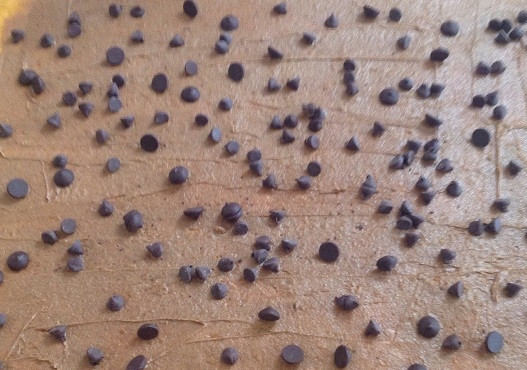 1. Этап. Тыквенно-шоколадные булочки: 11. И присыпьте шоколадными дропсами.