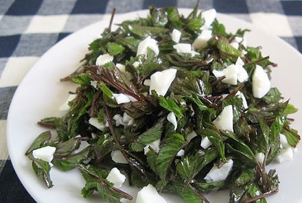 1. Этап. Салат из сныти: Заправьте салат уксусом и подсолнечным маслом, посолите по вкусу. Приятного аппетита!