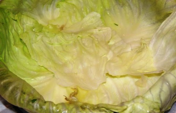 1. Этап. Капустный торт: Застелите форму фольгой и пергаментом. Выложите слоем бланшированные капустные листья так, чтобы они застилали не только дно, но и борта формы.