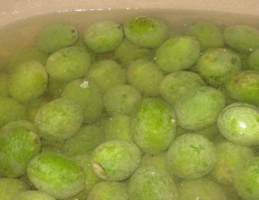 1. Этап. Варенье из зеленых грецких орехов: 3. Теперь нужно приготовить известь, которой будут заливаться орехи. 0,5кг гашеной извести нужно залить 5л холодной воды. После этого нужно размешать (тщательно) и дать немного постоять. Верхним прозрачным раствором нужно залить орехи и оставить на сутки.