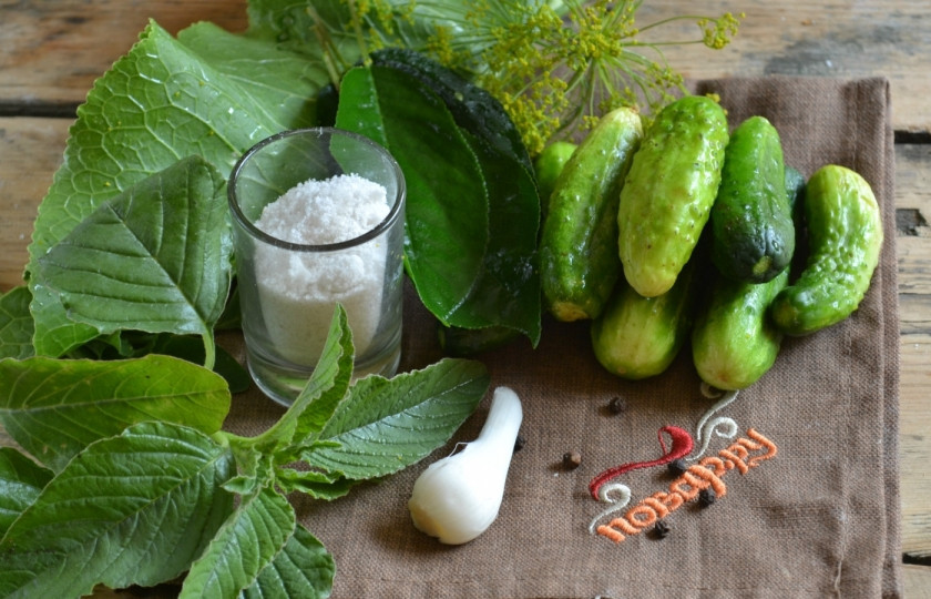 1. Этап. Соленые огурцы без закатки: Подготовьте все необходимые ингредиенты. Промойте все листья под проточной водой. Огурцы замочите на несколько часов в холодной воде, чтобы после соления они были хрустящими.