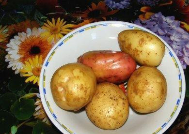 1. Этап. Картофель в микроволновке: Молодой картофель хорошенько промываем и немного очищаем от грязи при помощи специальной щеточки, но не чистим полностью.