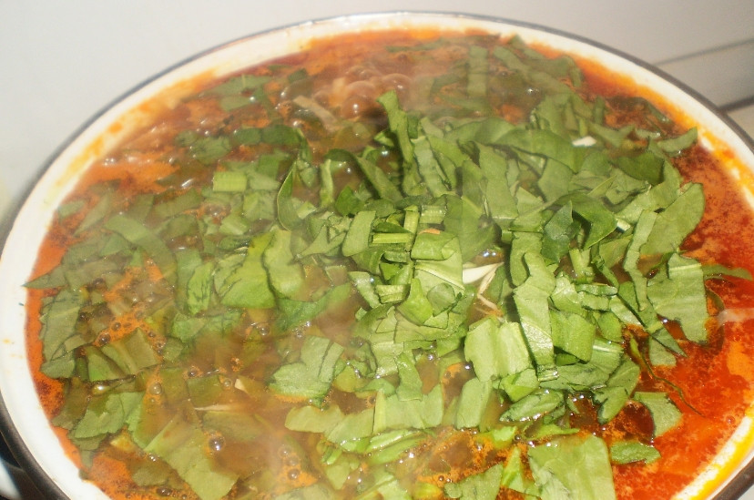 1. Этап. Зеленый борщ с щавелем и томатом: 3. Когда суп еще раз закипит, добавим специи, мелко порезанный щавель, уменьшим огонь, и пусть еще 15 минут покипит. Затем пусть полчаса настоится под крышкой.